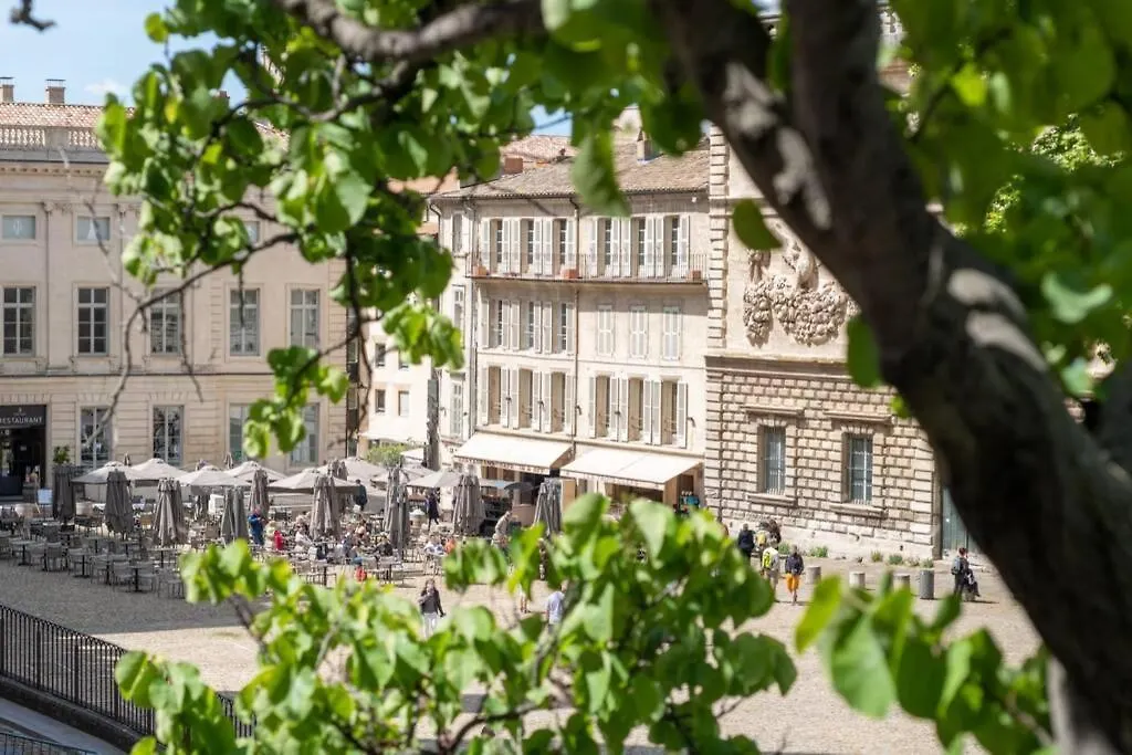 Bien D'Exception En Face Du Palais Des Papes Lejlighed Avignon Frankrig