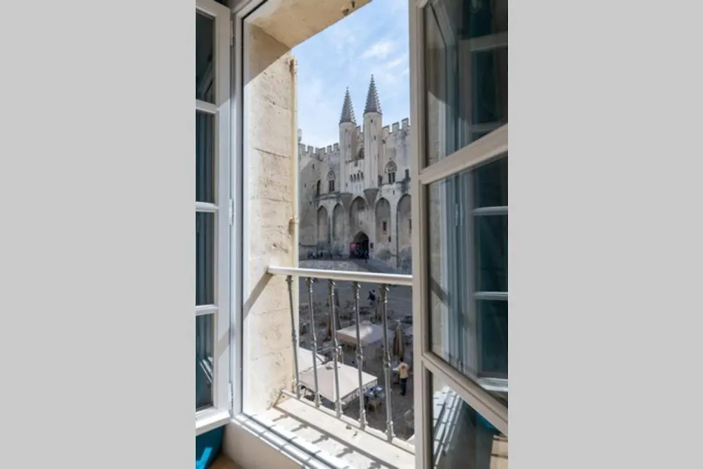 Bien D'Exception En Face Du Palais Des Papes Lejlighed Avignon