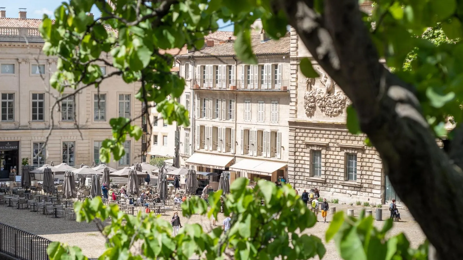 Bien D'Exception En Face Du Palais Des Papes Lejlighed Avignon
